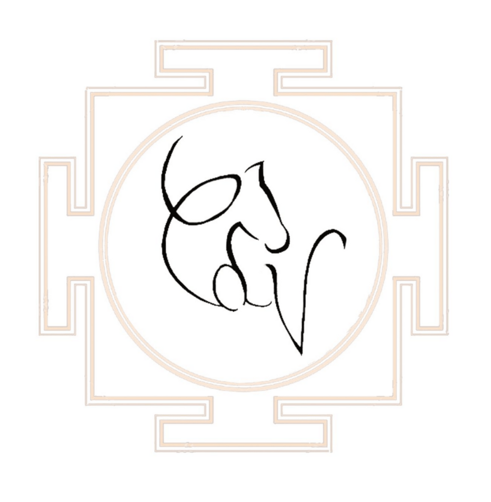 C.D.V CHEVAL CONSEILS