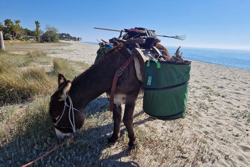 equiloisirs-fae-traction-dechet-ana-batte