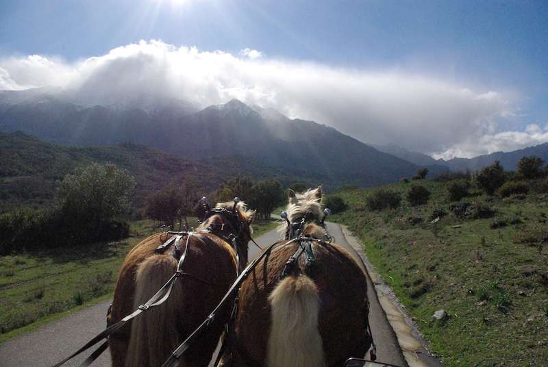 equiloisirs-fae-traction-sport-payasage