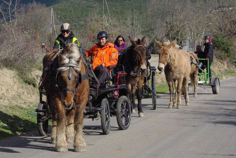 equiloisirs-fae-traction-sport-route