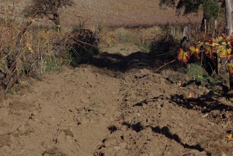 equiloisirs-fae-traction-vigne-labour