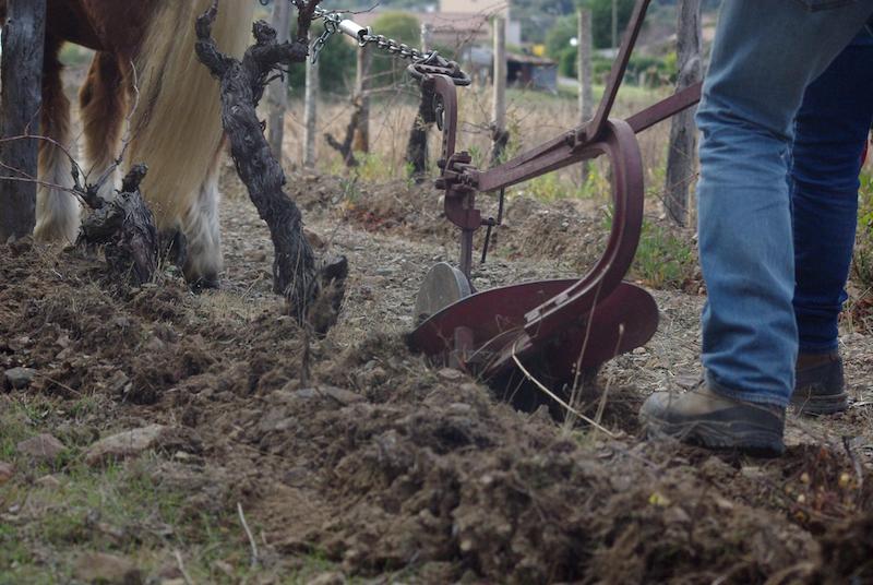 equiloisirs-fae-traction-vigne-outil