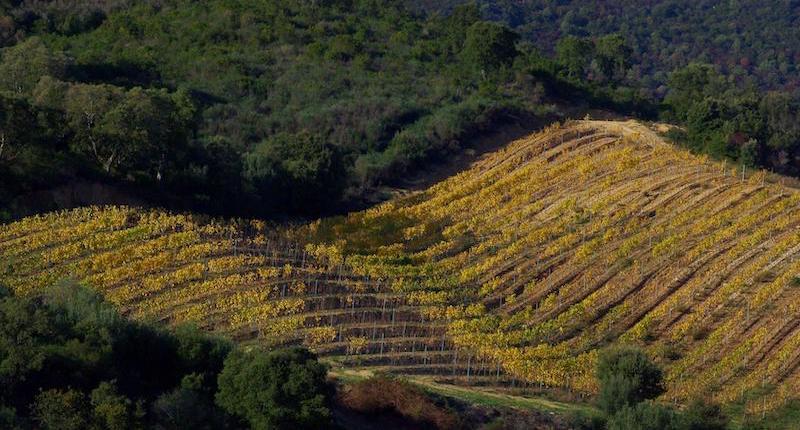 p_equiloisirs-fae-traction-vigne-terre