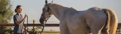 Formation en Apprentissage BPJEPS EQUITATION