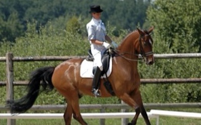 Formation en Apprentissage BPJEPS EQUITATION