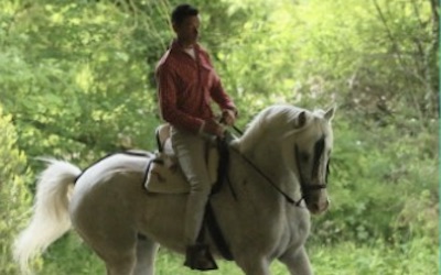 Formation en Apprentissage BPJEPS EQUITATION