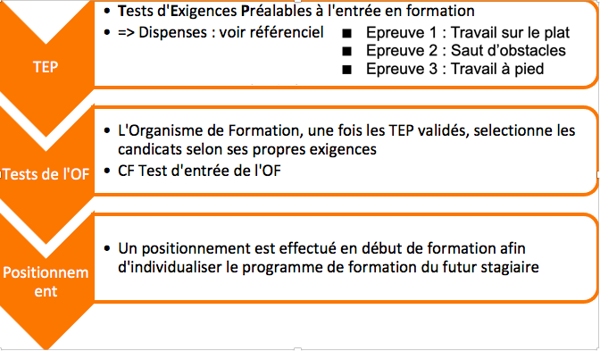 faeequiloisirs-exigences-TEP-BPJEPS