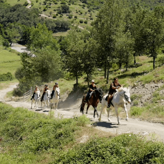 TE-accueil-sejour-equi