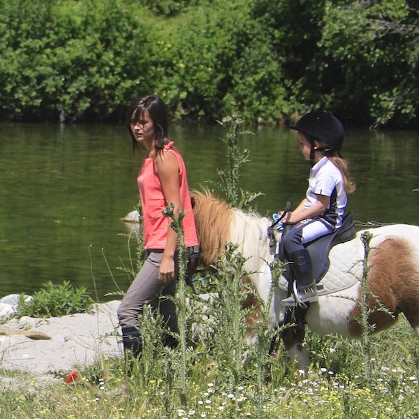 balade_photo_poney