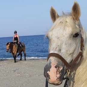 rando-escaapade-J2-plaine-orientale-290×290